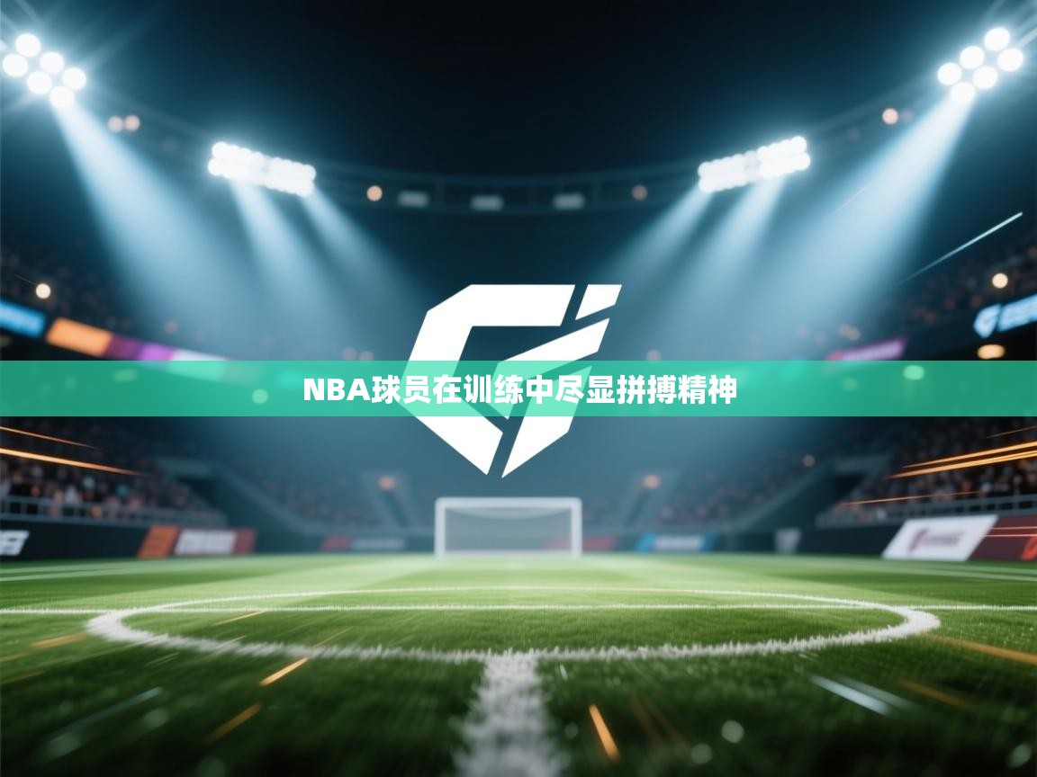 NBA球员在训练中尽显拼搏精神  第1张